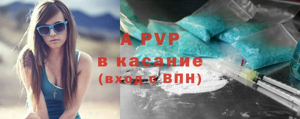 PSILOCYBIN Аркадак