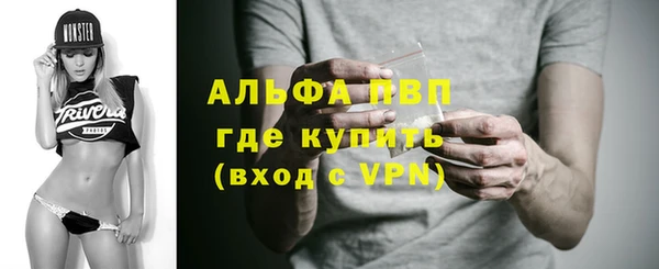 PSILOCYBIN Аркадак