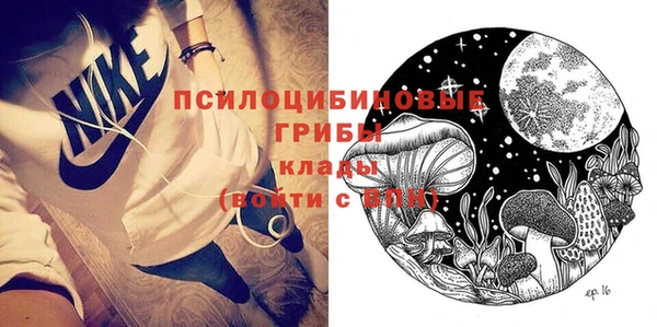 PSILOCYBIN Аркадак
