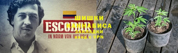 СК Арсеньев