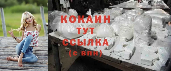 PSILOCYBIN Аркадак